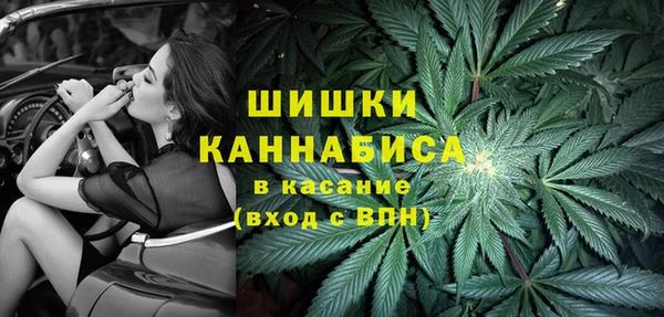 мяу мяу кристалл Корсаков