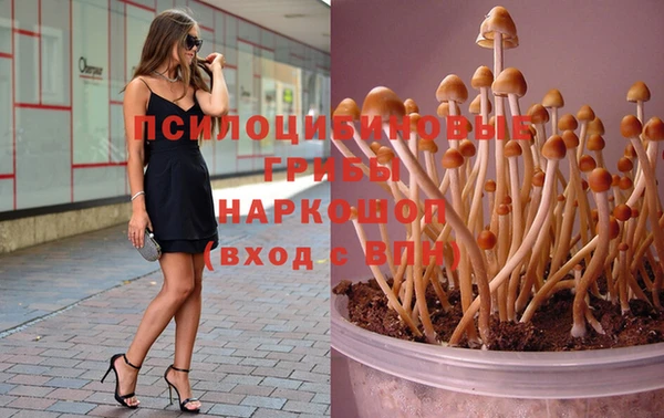 mix Костерёво