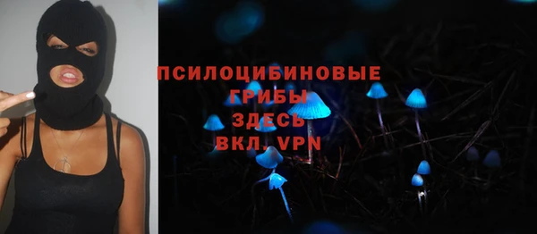 мяу мяу кристалл Корсаков