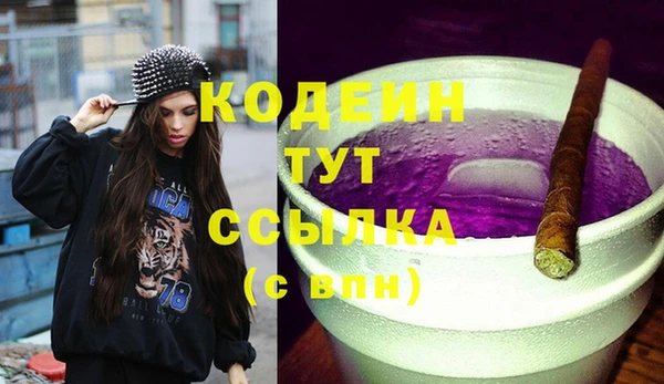 мяу мяу кристалл Корсаков