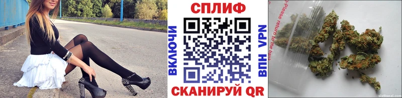 omg вход  Новая Ладога  Бошки Шишки планчик 